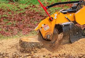 Best Commercial Tree Services  in Lake Murray Of Richland, SC