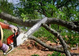 Best Landscape Design and Installation  in Lake Murray Of Richland, SC