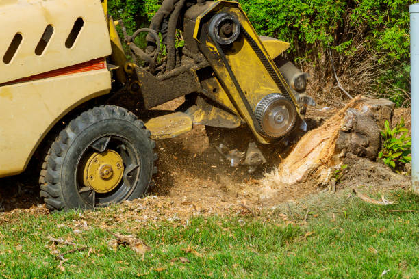 Best Lawn Mowing  in Lake Murray Of Richland, SC